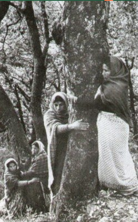 women and tree